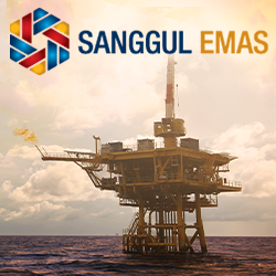 Sanggul emas distributor interview YZSystems